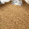 пшеница фураж в Пензе