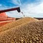 пшеница  в мешках по 40 кг в Пензе